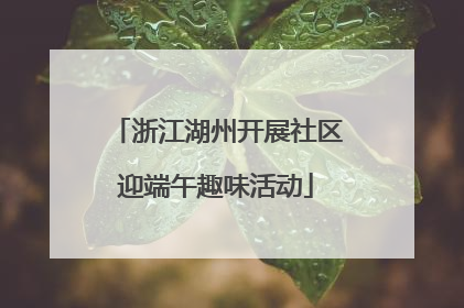 浙江湖州开展社区迎端午趣味活动