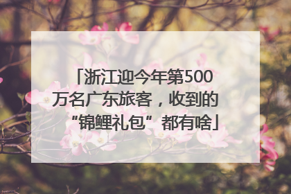浙江迎今年第500万名广东旅客，收到的“锦鲤礼包”都有啥