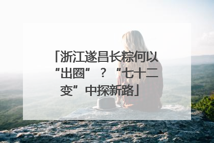 浙江遂昌长粽何以“出圈”？“七十二变”中探新路