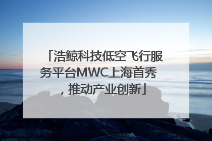 浩鲸科技低空飞行服务平台MWC上海首秀，推动产业创新