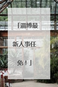 淄博最新人事任免！