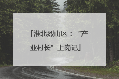 淮北烈山区：“产业村长”上岗记