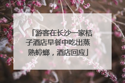 游客在长沙一家桔子酒店早餐中吃出蒸熟蟑螂，酒店回应