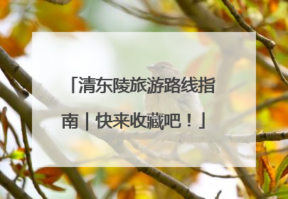 清东陵旅游路线指南｜快来收藏吧！