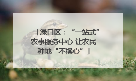 渌口区：“一站式”农事服务中心 让农民种地“不操心”