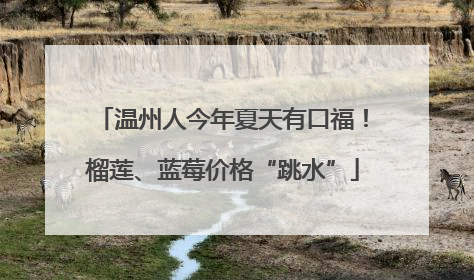 温州人今年夏天有口福！榴莲、蓝莓价格“跳水”