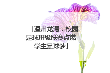 温州龙湾：校园足球班级联赛点燃学生足球梦