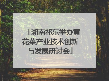 湖南祁东举办黄花菜产业技术创新与发展研讨会