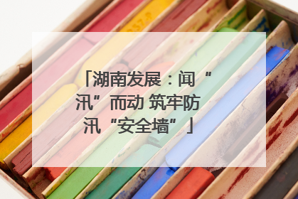 湖南发展：闻“汛”而动 筑牢防汛“安全墙”