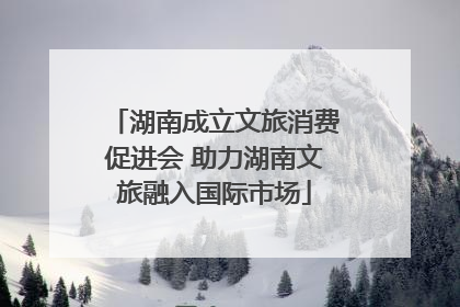 湖南成立文旅消费促进会 助力湖南文旅融入国际市场