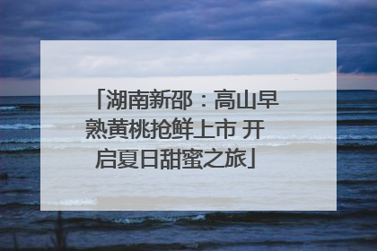 湖南新邵：高山早熟黄桃抢鲜上市 开启夏日甜蜜之旅