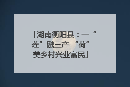 湖南衡阳县：一“莲”融三产 “荷”美乡村兴业富民