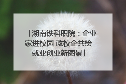 湖南铁科职院：企业家进校园 政校企共绘就业创业新图景