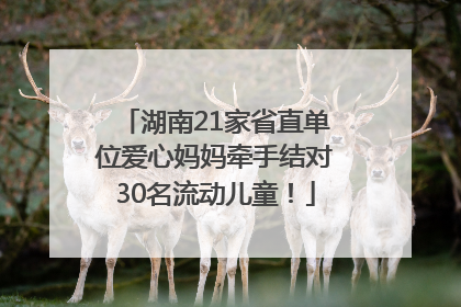 湖南21家省直单位爱心妈妈牵手结对30名流动儿童！