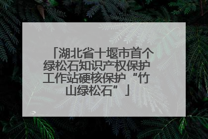 湖北省十堰市首个绿松石知识产权保护工作站硬核保护“竹山绿松石”