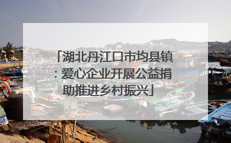 湖北丹江口市均县镇：爱心企业开展公益捐助推进乡村振兴
