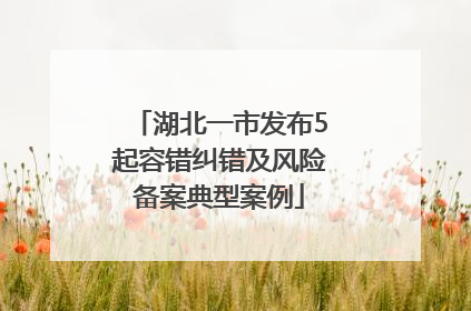 湖北一市发布5起容错纠错及风险备案典型案例