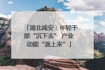 湖北咸安：年轻干部“沉下去” 产业动能“涨上来”