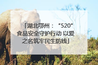 湖北鄂州：“520”食品安全守护行动 以爱之名筑牢民生防线