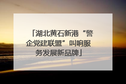 湖北黄石新港“警企党建联盟”叫响服务发展新品牌