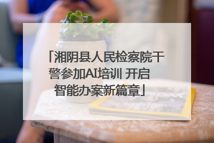 湘阴县人民检察院干警参加AI培训 开启智能办案新篇章