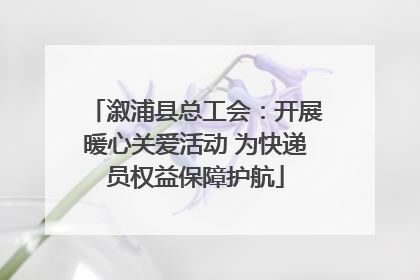 溆浦县总工会：开展暖心关爱活动 为快递员权益保障护航