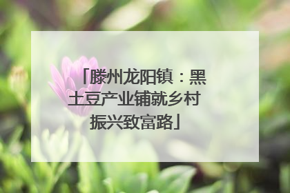 滕州龙阳镇：黑土豆产业铺就乡村振兴致富路