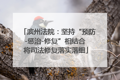 滨州法院：坚持“预防-惩治-修复”相结合 将司法修复落实落细