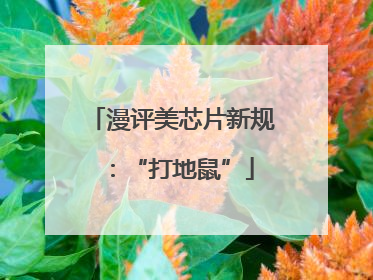 漫评美芯片新规：“打地鼠”
