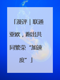 漫评｜联通亚欧，跑出共同繁荣“加速度”