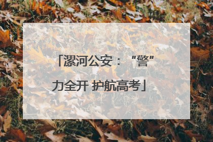 漯河公安：“警”力全开 护航高考