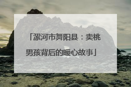 漯河市舞阳县：卖桃男孩背后的暖心故事