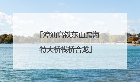 漳汕高铁东山跨海特大桥栈桥合龙