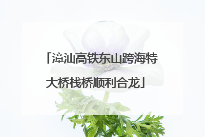 漳汕高铁东山跨海特大桥栈桥顺利合龙