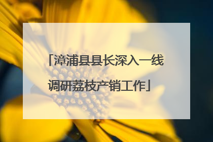 漳浦县县长深入一线调研荔枝产销工作