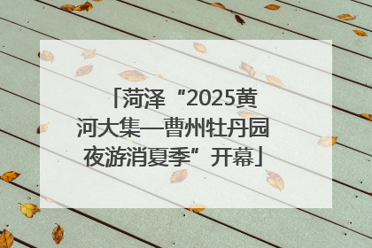 菏泽“2025黄河大集—曹州牡丹园夜游消夏季”开幕