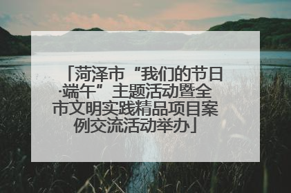菏泽市“我们的节日·端午”主题活动暨全市文明实践精品项目案例交流活动举办