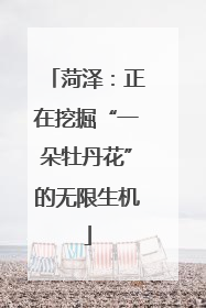 菏泽：正在挖掘“一朵牡丹花”的无限生机