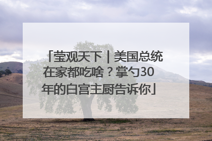莹观天下｜美国总统在家都吃啥？掌勺30年的白宫主厨告诉你
