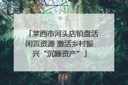 莱西市河头店镇盘活闲置资源 激活乡村振兴“沉睡资产”