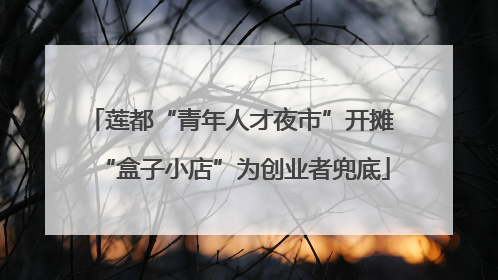 莲都“青年人才夜市”开摊 “盒子小店”为创业者兜底