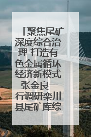 聚焦尾矿深度综合治理 打造有色金属循环经济新模式 张金良一行调研栾川县尾矿库综合治理工作