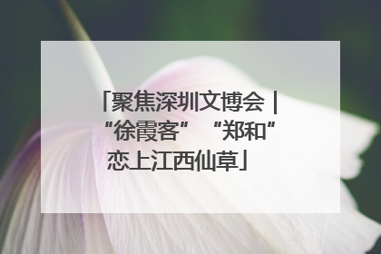 聚焦深圳文博会｜“徐霞客”“郑和”恋上江西仙草