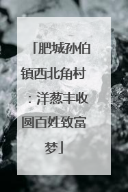 肥城孙伯镇西北角村：洋葱丰收圆百姓致富梦