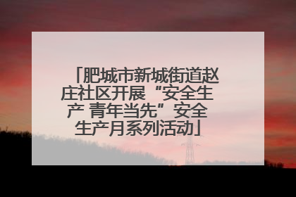 肥城市新城街道赵庄社区开展“安全生产 青年当先”安全生产月系列活动