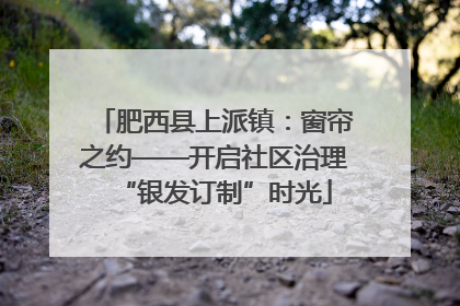 肥西县上派镇：窗帘之约——开启社区治理“银发订制”时光