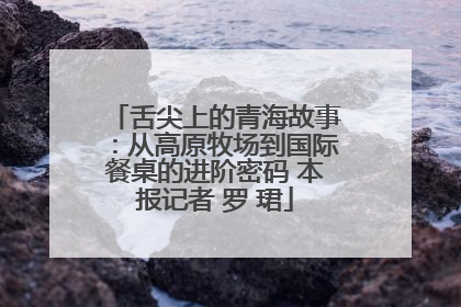 舌尖上的青海故事：从高原牧场到国际餐桌的进阶密码 本报记者 罗 珺
