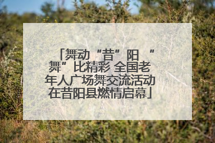 舞动“昔”阳 “舞”比精彩 全国老年人广场舞交流活动在昔阳县燃情启幕
