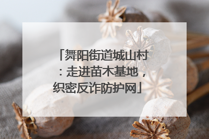 舞阳街道城山村：走进苗木基地，织密反诈防护网