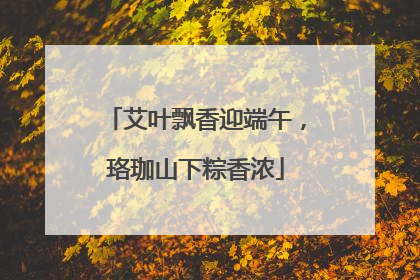 艾叶飘香迎端午，珞珈山下粽香浓